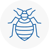 Bed Bug Extermination In Cheetham Hill