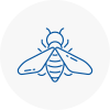 Bee Nest Removal Cheetham Hill